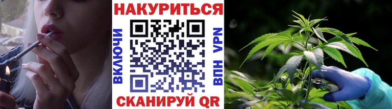 Канабис план  Купить закладки  Клинцы 